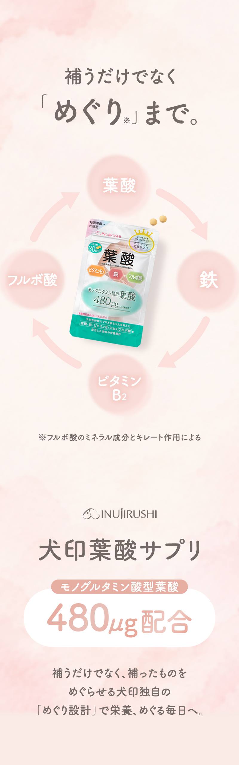 犬印本舗 葉酸サプリ 妊活 妊娠 葉酸 480μg モノグルタミン酸型 ビタミンB群 鉄 国産 ビタミンB9 ビタミンB2 ミネラル フルボ酸 女性 飲みやすい 小粒 栄養バランス キレート作用 妊娠準備 栄養機能食品 30日分