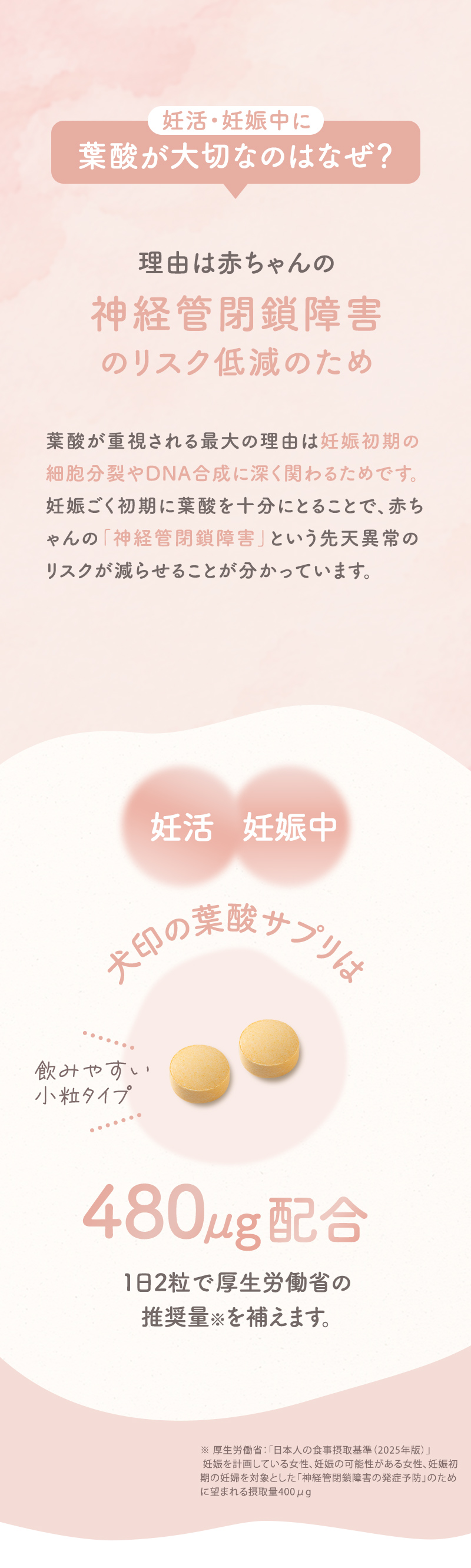 犬印本舗 葉酸サプリ 妊活 妊娠 葉酸 480μg モノグルタミン酸型 ビタミンB群 鉄 国産 ビタミンB9 ビタミンB2 ミネラル フルボ酸 女性 飲みやすい 小粒 栄養バランス キレート作用 妊娠準備 栄養機能食品 30日分