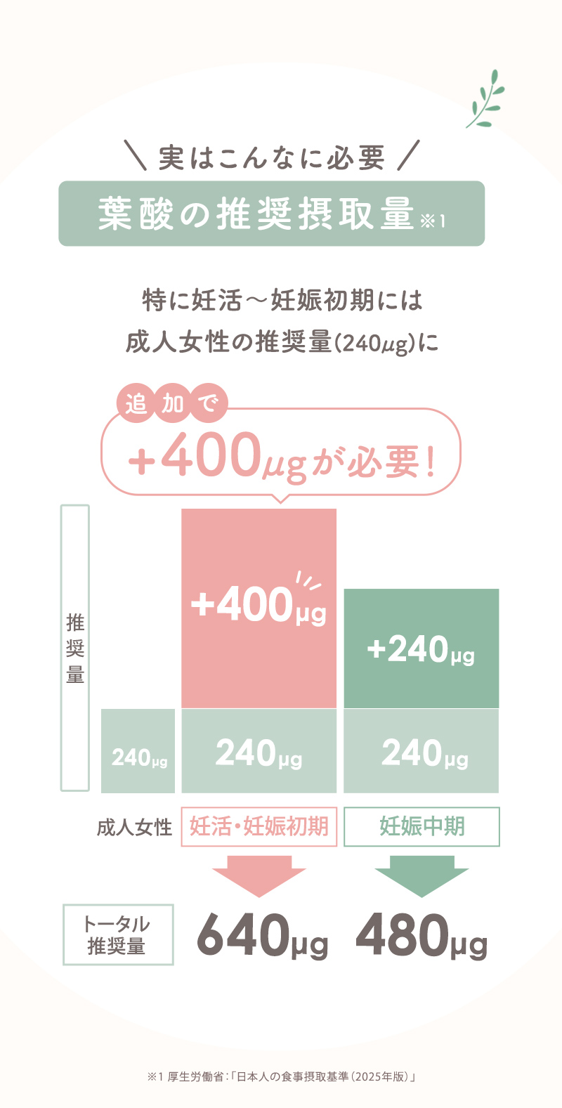 犬印本舗 葉酸サプリ 妊活 妊娠 葉酸 480μg モノグルタミン酸型 ビタミンB群 鉄 国産 ビタミンB9 ビタミンB2 ミネラル フルボ酸 女性 飲みやすい 小粒 栄養バランス キレート作用 妊娠準備 栄養機能食品 30日分