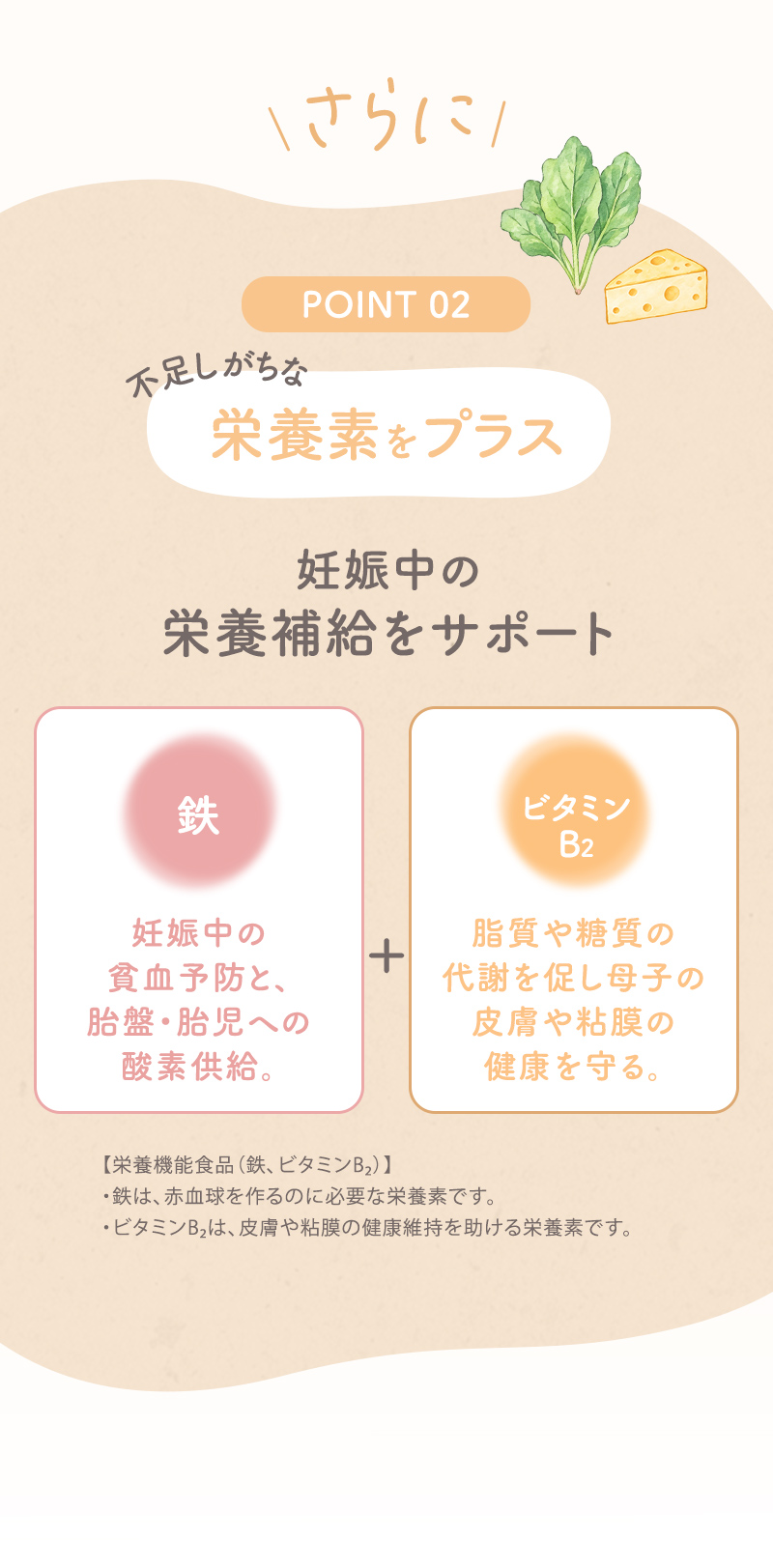 犬印本舗 葉酸サプリ 妊活 妊娠 葉酸 480μg モノグルタミン酸型 ビタミンB群 鉄 国産 ビタミンB9 ビタミンB2 ミネラル フルボ酸 女性 飲みやすい 小粒 栄養バランス キレート作用 妊娠準備 栄養機能食品 30日分