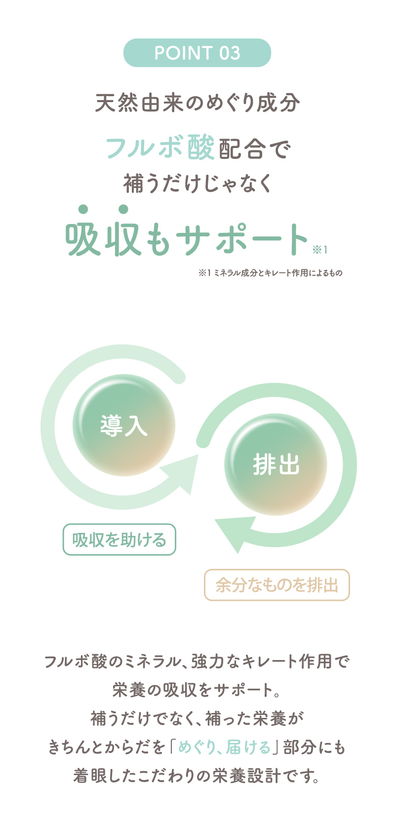犬印本舗 葉酸サプリ 妊活 妊娠 葉酸 480μg モノグルタミン酸型 ビタミンB群 鉄 国産 ビタミンB9 ビタミンB2 ミネラル フルボ酸 女性 飲みやすい 小粒 栄養バランス キレート作用 妊娠準備 栄養機能食品 30日分