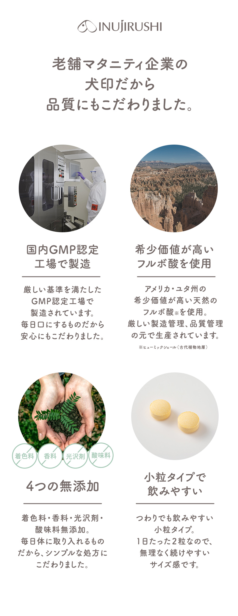 犬印本舗 葉酸サプリ 妊活 妊娠 葉酸 480μg モノグルタミン酸型 ビタミンB群 鉄 国産 ビタミンB9 ビタミンB2 ミネラル フルボ酸 女性 飲みやすい 小粒 栄養バランス キレート作用 妊娠準備 栄養機能食品 30日分