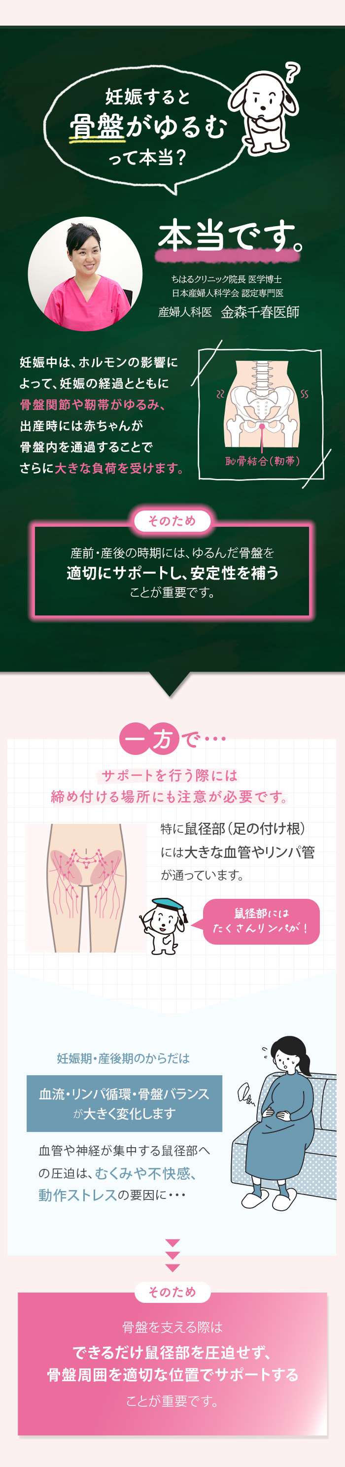 骨盤 ゆるみ 靭帯 締め付け位置 鼠径部 リンパ 血管
